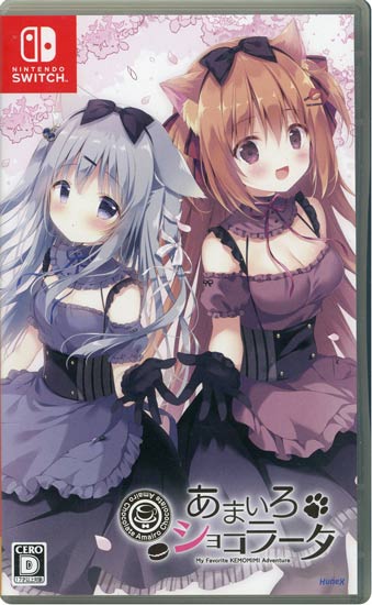 【新品】カービィのエアライダー　Nintendo Switch 2