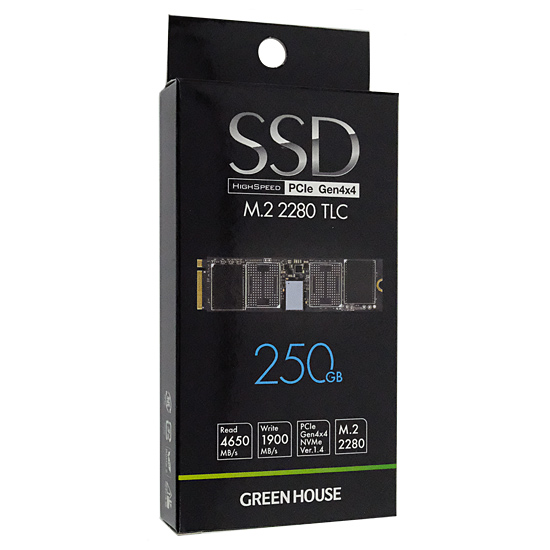 【新品】グリーンハウス　SSD M.2 Type 2280　GH-SSDRMPB250　250GB